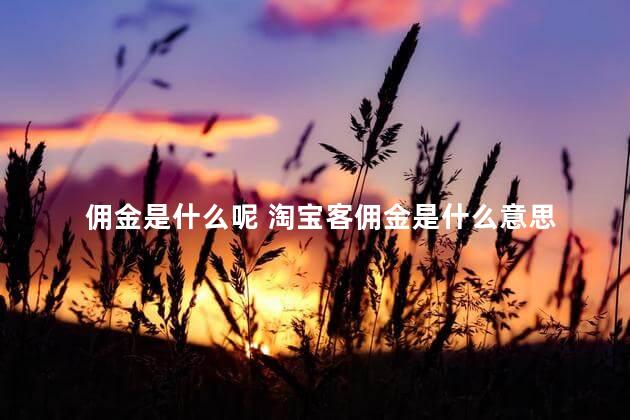 佣金是什么呢 淘宝客佣金是什么意思